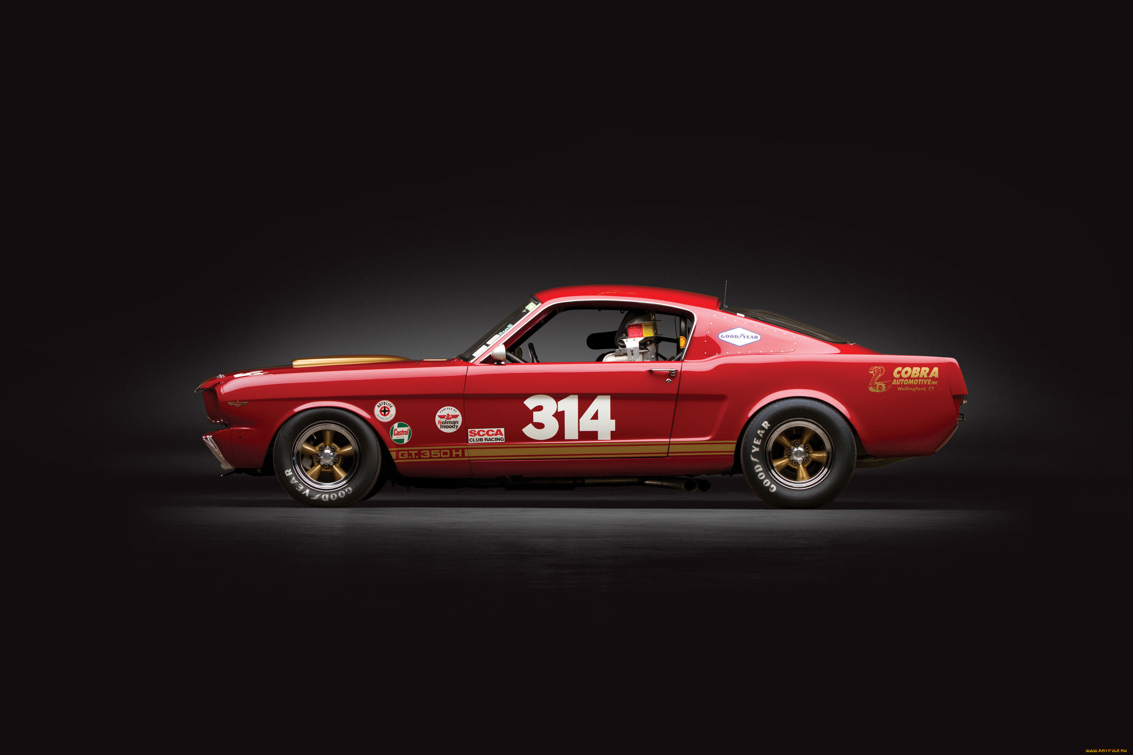 , mustang